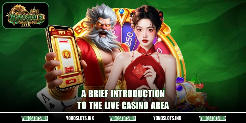 A brief introduction to the live casino area