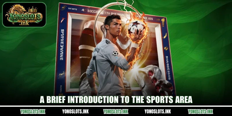 A brief introduction to the sports area