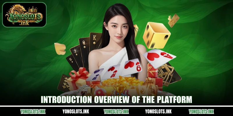 Introduction overview of the platform
