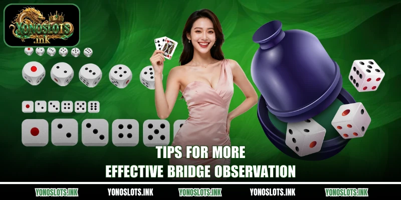 Tips for more effective bridge observation